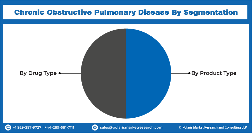 Chronic Obstructive Pulmonary Seg